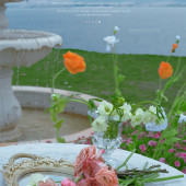 归鲤小镇-海边的卡夫卡