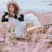 半山半岛-晴空花海