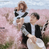 半山半岛-晴空花海