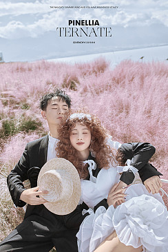 半山半岛-晴空花海