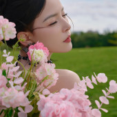 三亚-高尔夫草坪