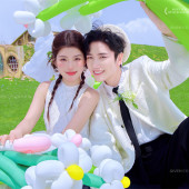 半山半岛-萌趣羊驼