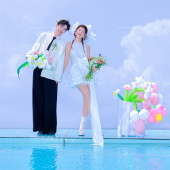 半山半岛-萌趣羊驼