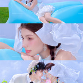 半山半岛-萌趣羊驼