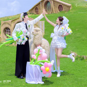 半山半岛-萌趣羊驼