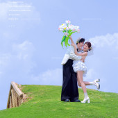 半山半岛-萌趣羊驼