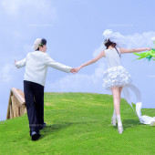 半山半岛-萌趣羊驼