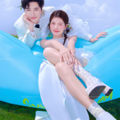 半山半岛-萌趣羊驼