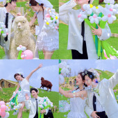 半山半岛-萌趣羊驼