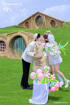 半山半岛-萌趣羊驼