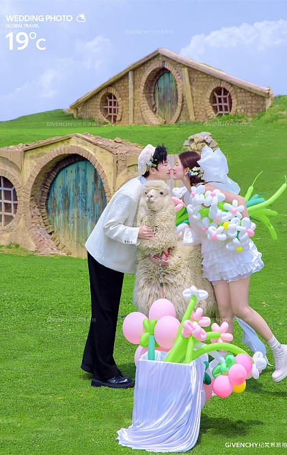 半山半岛-萌趣羊驼