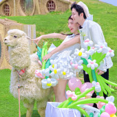 半山半岛-萌趣羊驼