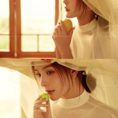 半山半岛-巴赫旧约