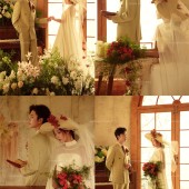 半山半岛-巴赫旧约