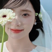 半山半岛-春日信笺