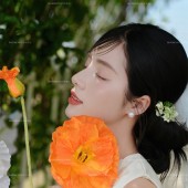 半山半岛-春日信笺