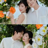 半山半岛-春日信笺