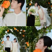 半山半岛-春日信笺