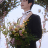 半山半岛-花雾映诗