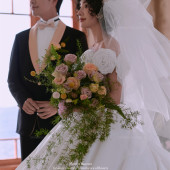 半山半岛-花雾映诗