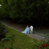 凤凰谷-优雅颂歌