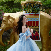 凤凰谷-优雅颂歌