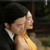 山茶园-锦瑟流年