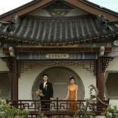 山茶园-锦瑟流年