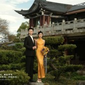 山茶园-锦瑟流年