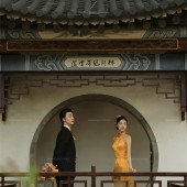 山茶园-锦瑟流年