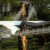 山茶园-锦瑟流年