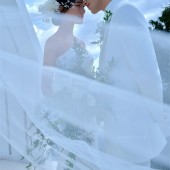 山茶园-纯白教堂