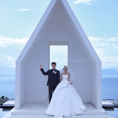 山茶园-白纱誓约