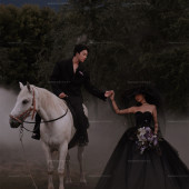 白马庄园-暗黑童话