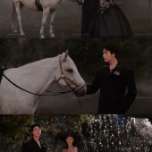 白马庄园-暗黑童话