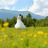 甘海子-元气森林