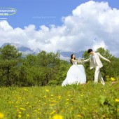 甘海子-元气森林