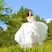 甘海子-元气森林