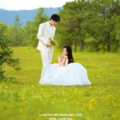 甘海子-元气森林