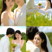 甘海子-元气森林