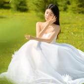 甘海子-元气森林