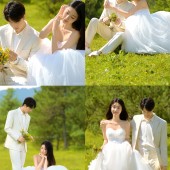 甘海子-元气森林