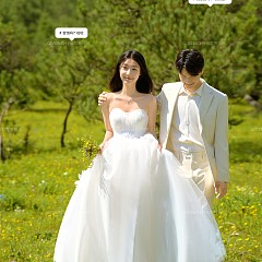 甘海子-元气森林