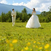 甘海子-元气森林