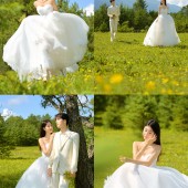 甘海子-元气森林