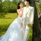 甘海子-元气森林