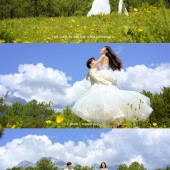 甘海子-元气森林