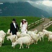 莫奈庄园-花间幻梦