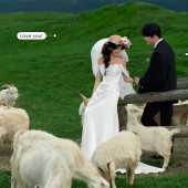 莫奈庄园-花间幻梦