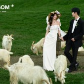 莫奈庄园-花间幻梦